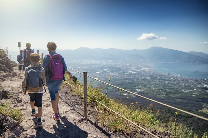Excursions au Vésuve et dégustation de vins-4