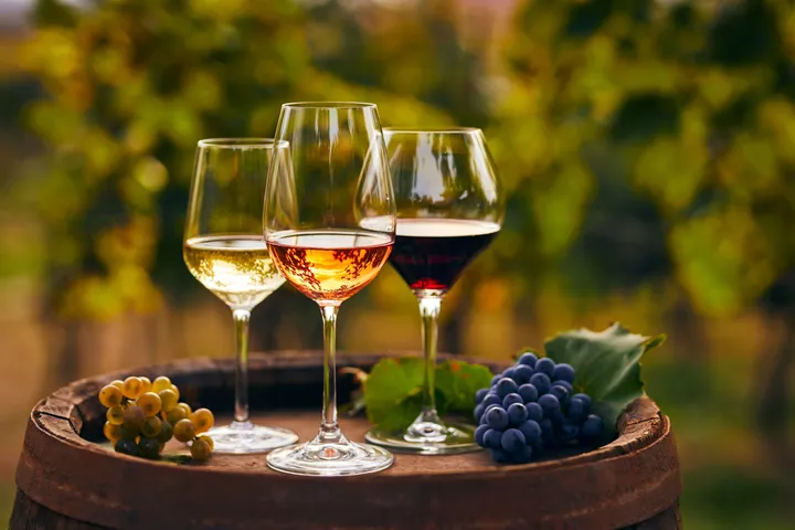Excursions au Vésuve et dégustation de vins-6